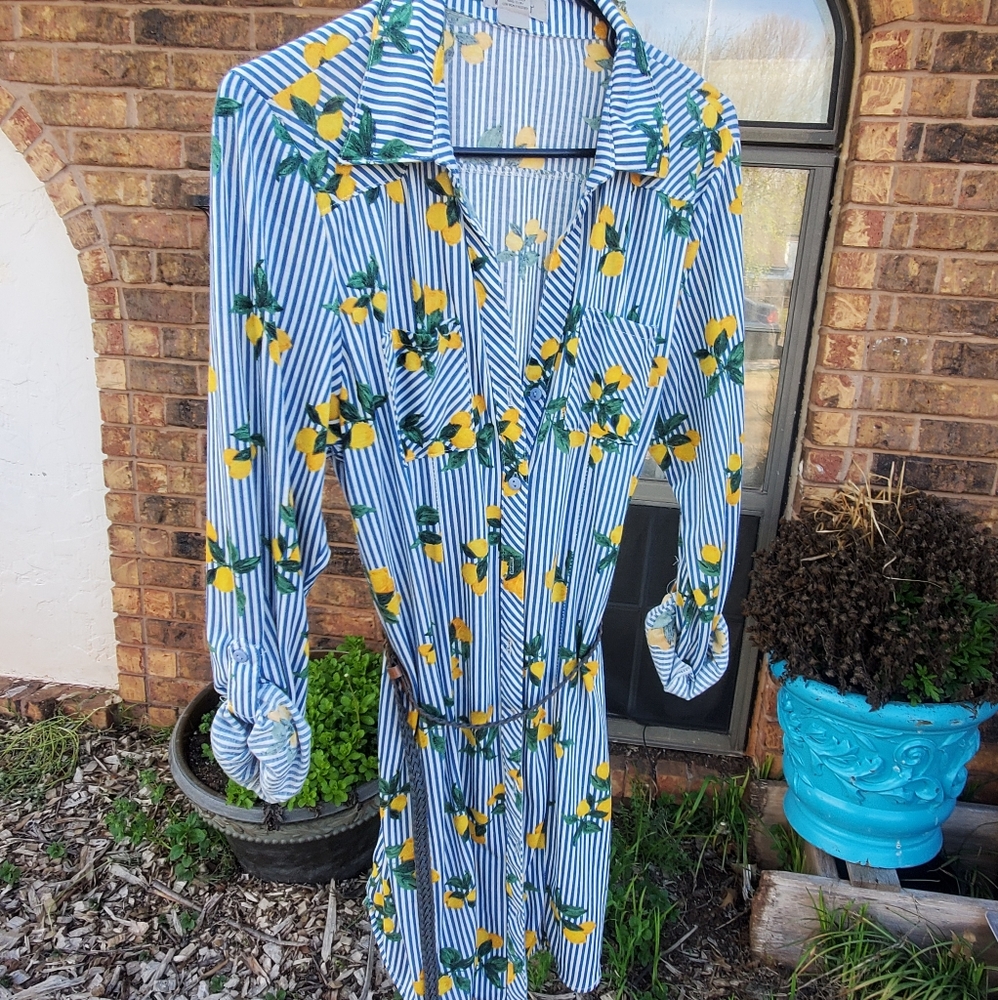 Lemon dress size XL by Passport
